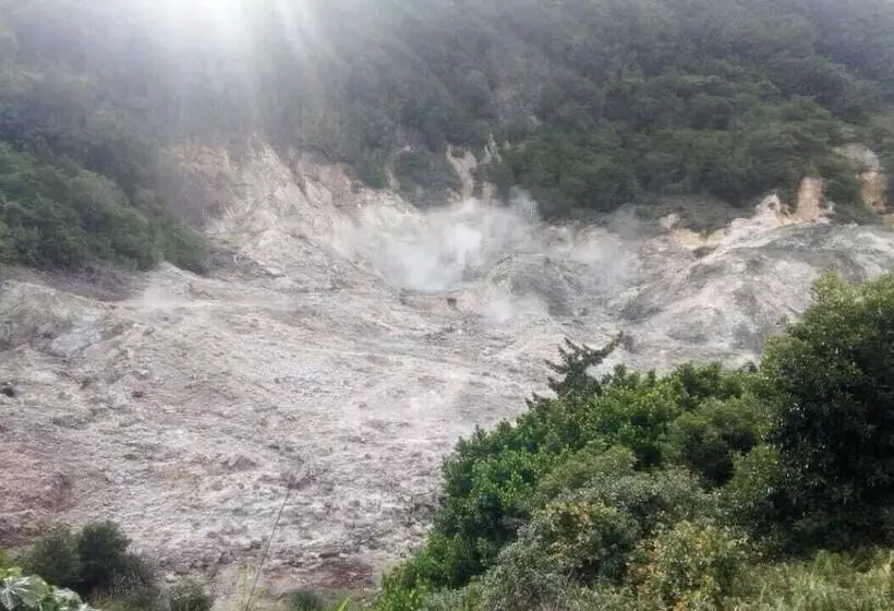 Bay Heights Bed And Breakfast