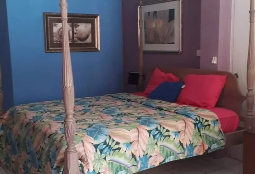 Bay Heights Bed And Breakfast