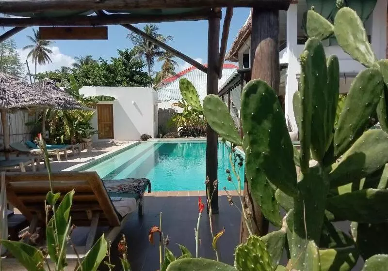 Aamiaismajoitus (B&B) Villa Huruma