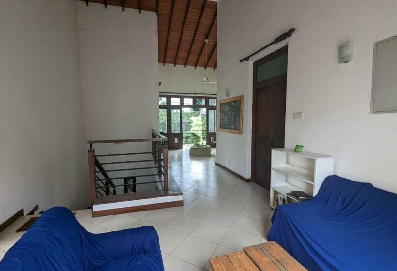 Culture Hub Backpack Hostel