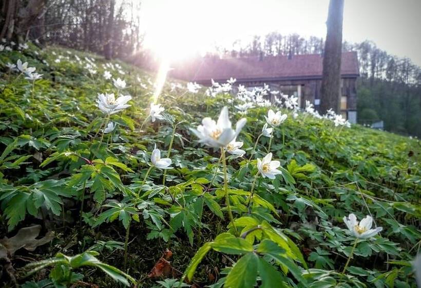 Hotel Klekotki Conference & Spa