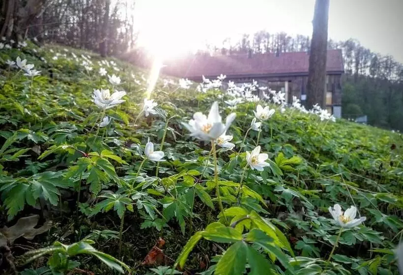 Hotelli Klekotki Conference & Spa