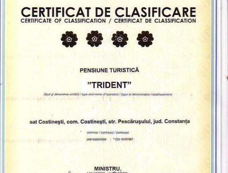 בית מלון כפרי Pensiunea Trident