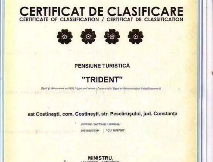 هتل Pensiunea Trident