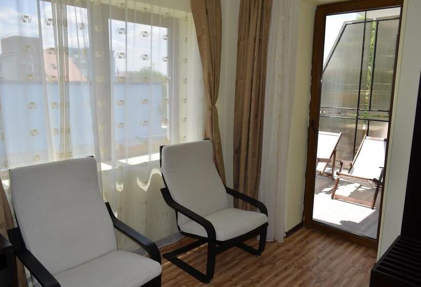 בית מלון כפרי Pensiunea Trident