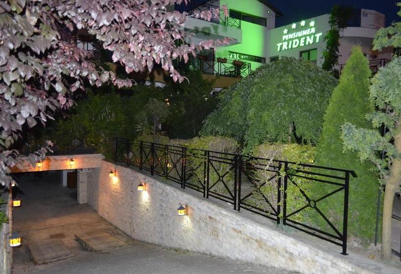 בית מלון כפרי Pensiunea Trident