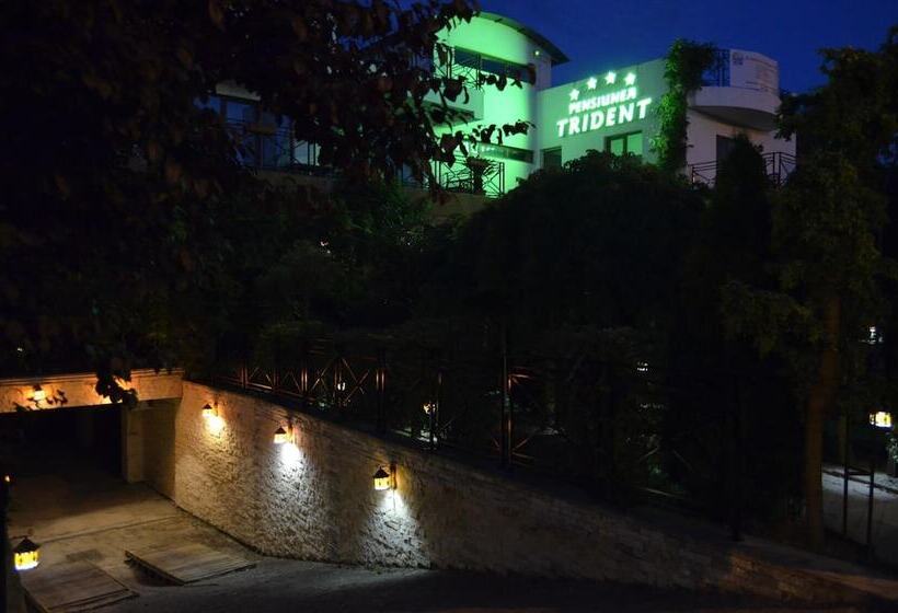 בית מלון כפרי Pensiunea Trident