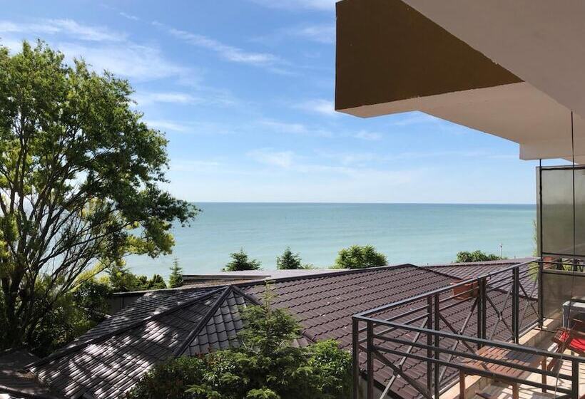 בית מלון כפרי Pensiunea Trident