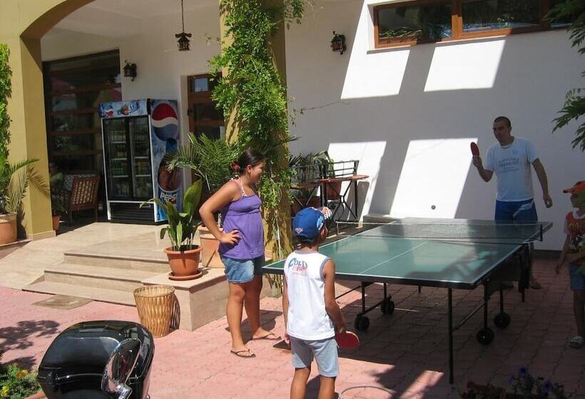 בית מלון כפרי Pensiunea Trident