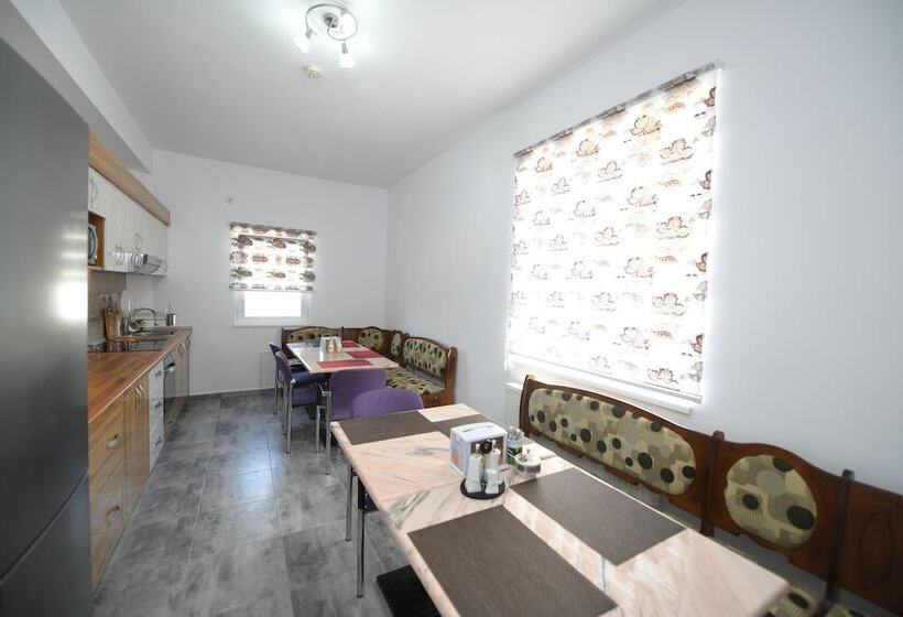 בית מלון כפרי Pensiunea Trident