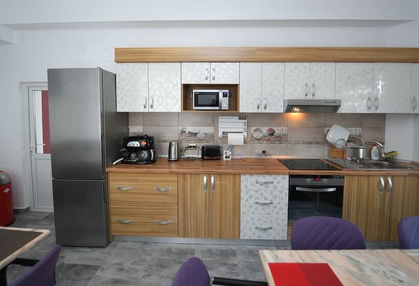 בית מלון כפרי Pensiunea Trident