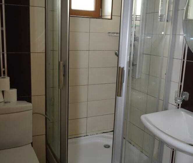 בית מלון כפרי Pensiunea Trident