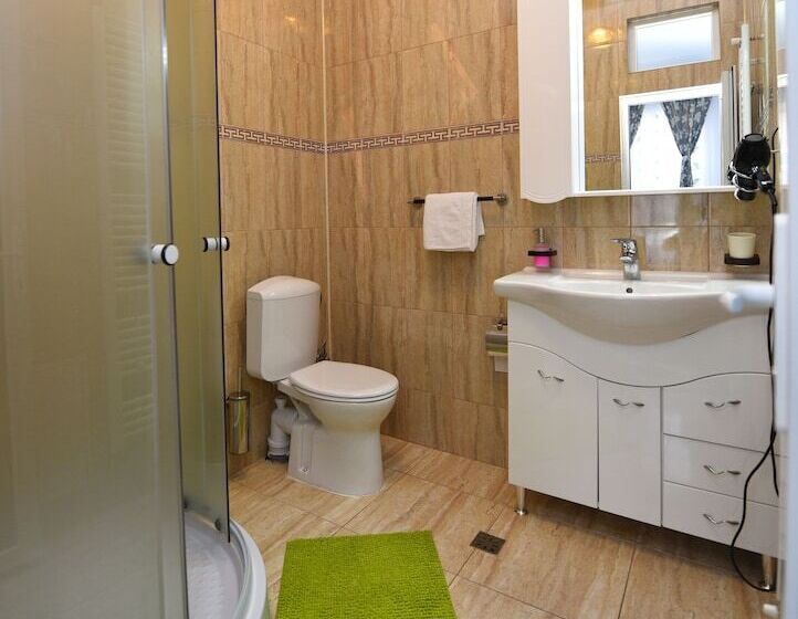 בית מלון כפרי Pensiunea Trident