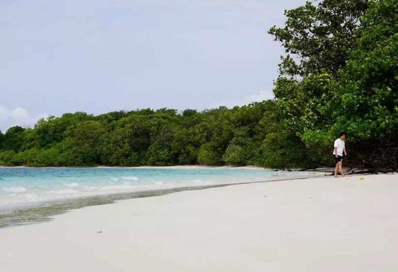 ペンション Nikki Peucang Resort