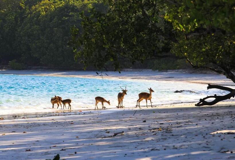 ペンション Nikki Peucang Resort