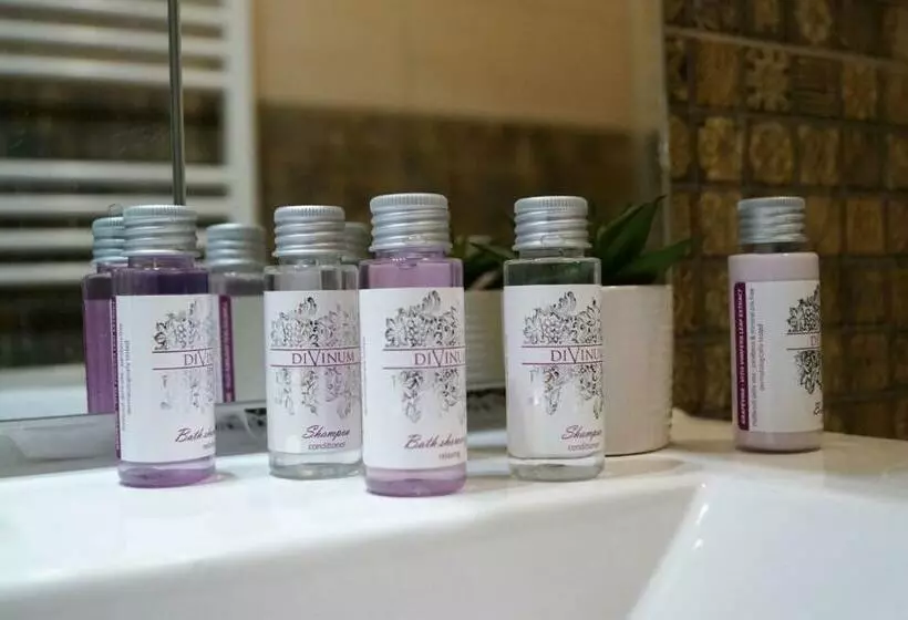 Central View Craiova