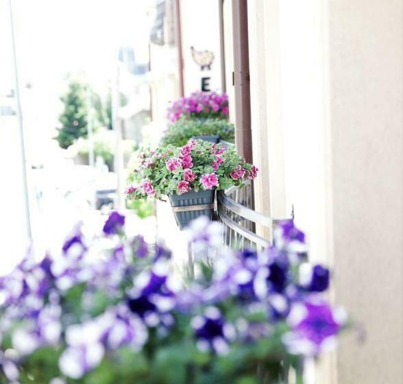 Central View Craiova