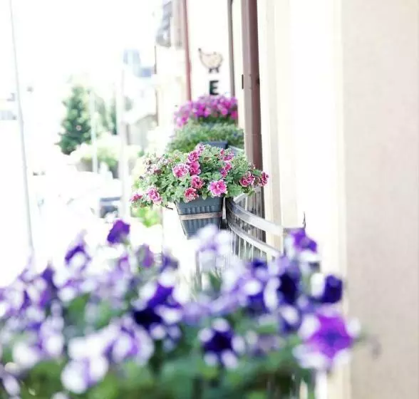 Central View Craiova