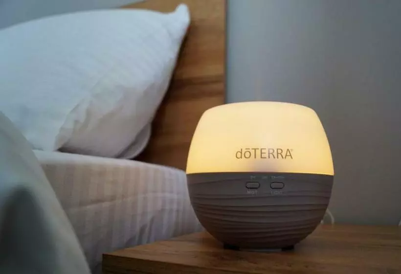 Central View Craiova