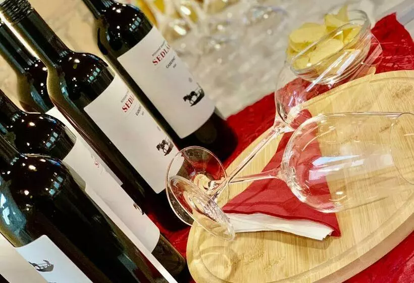 ペンション A Penzion Pegas