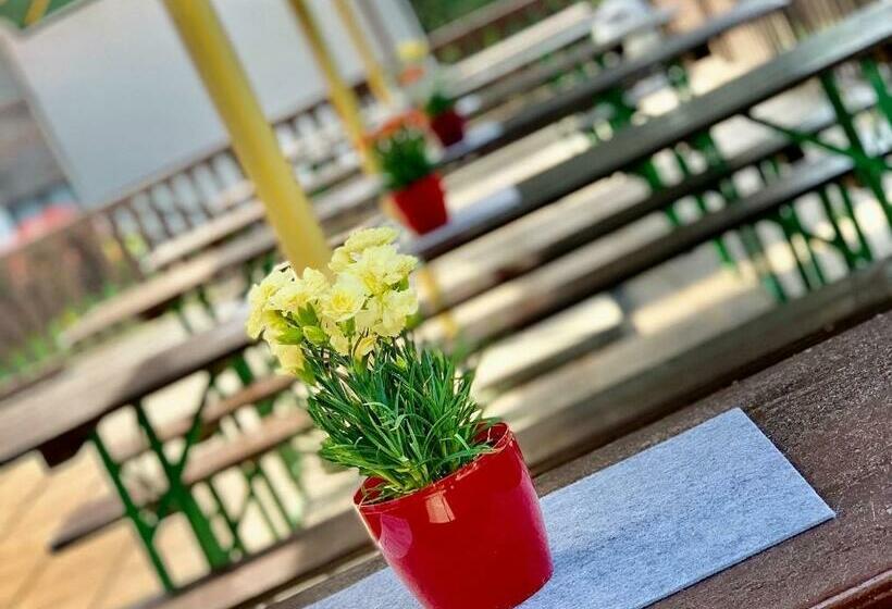 펜션 A Penzion Pegas