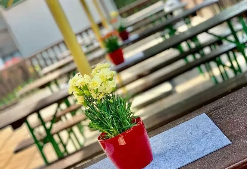 ペンション A Penzion Pegas