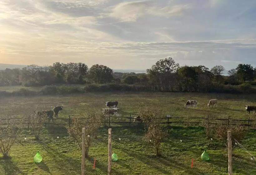 Majatalo Agriturismo Casale Lisalola