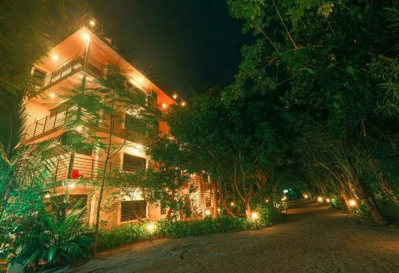 ペンション The Canopy Guest House
