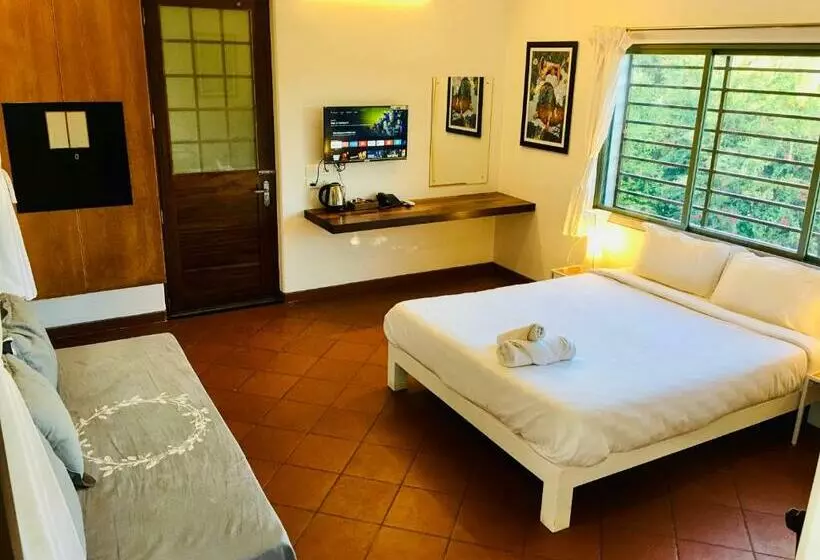 ペンション The Canopy Guest House