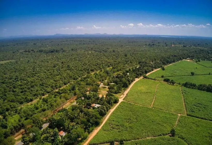 پانسیون Walawa Lodge Udawalawe