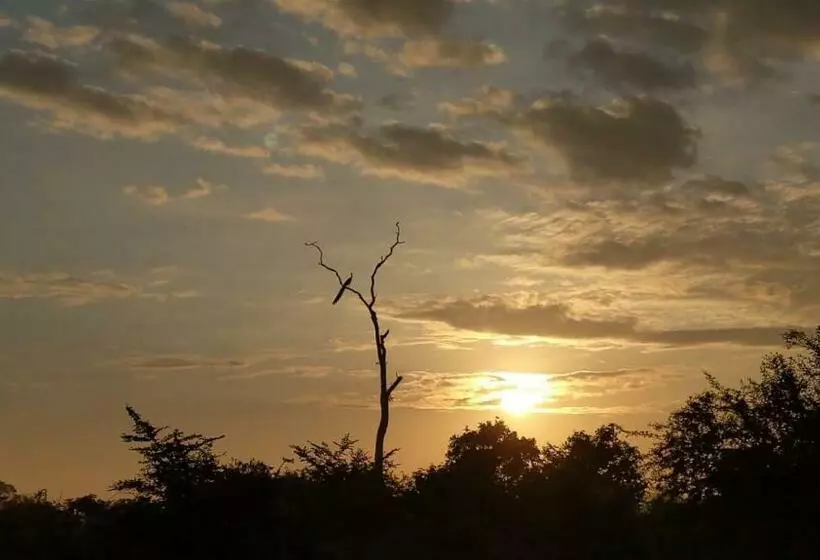 پانسیون Walawa Lodge Udawalawe
