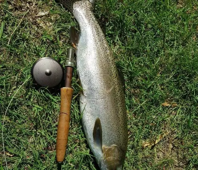 Pisa House Lakefront Boutique B&b