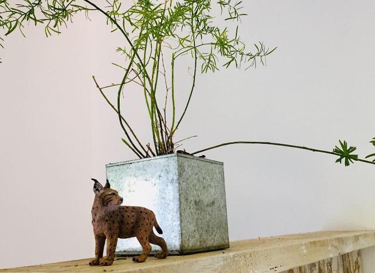 膳宿费 Le Grand Dehors 01