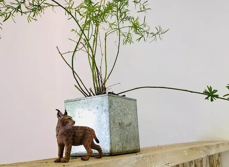 Majatalo Le Grand Dehors 01