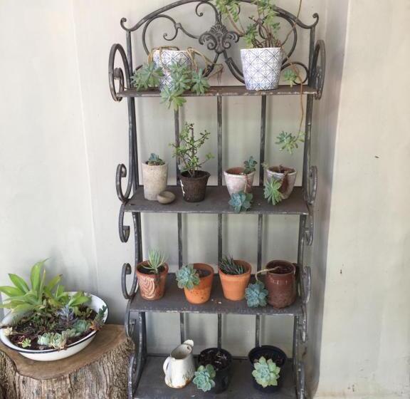 פנסיון Sarah S Place  Heatherlands,george