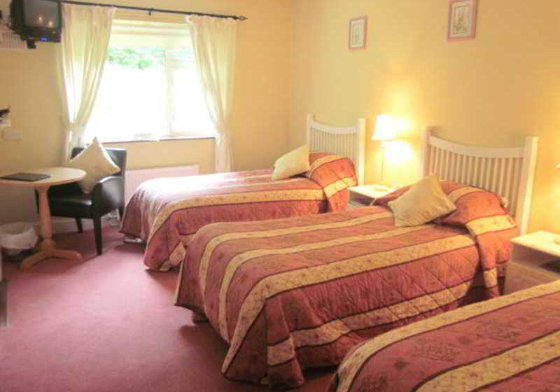 Bed and Breakfast Pine Forest House