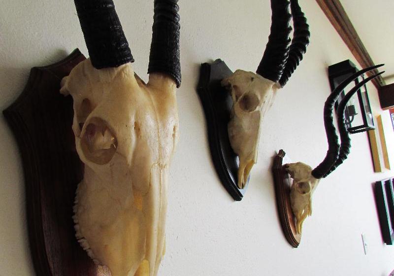 酒店 Buhala Game Lodge