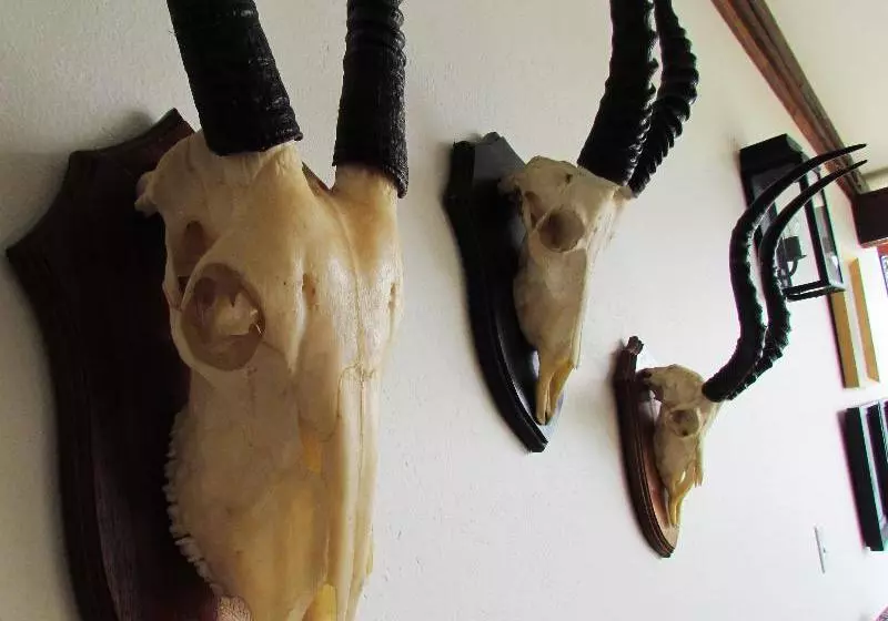 ホテル Buhala Game Lodge