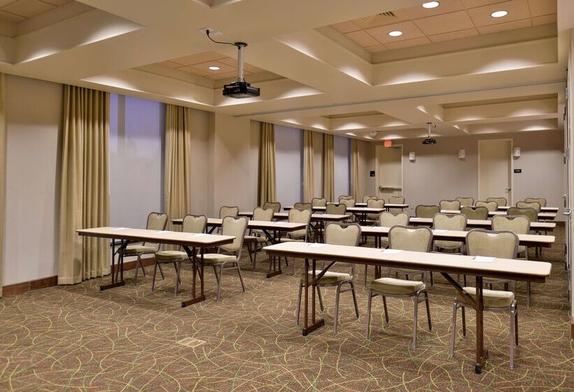 ホテル Hampton Inn & Suites Orlando/downtown South   Medical Center