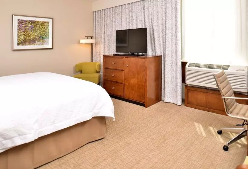 Hotel Hampton Inn & Suites Orlando/downtown South   Medical Center