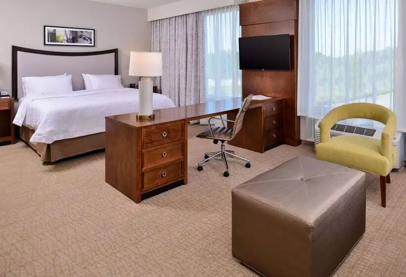 Hotel Hampton Inn & Suites Orlando/downtown South   Medical Center