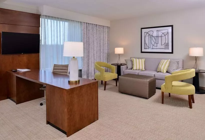 Hotel Hampton Inn & Suites Orlando/downtown South   Medical Center