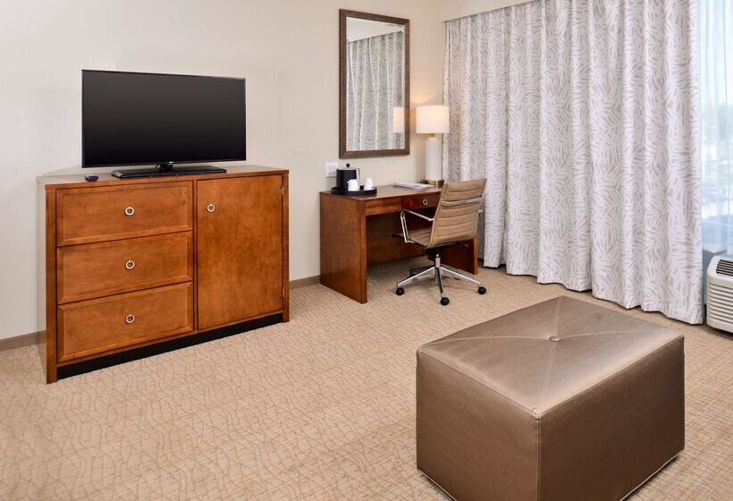 ホテル Hampton Inn & Suites Orlando/downtown South   Medical Center