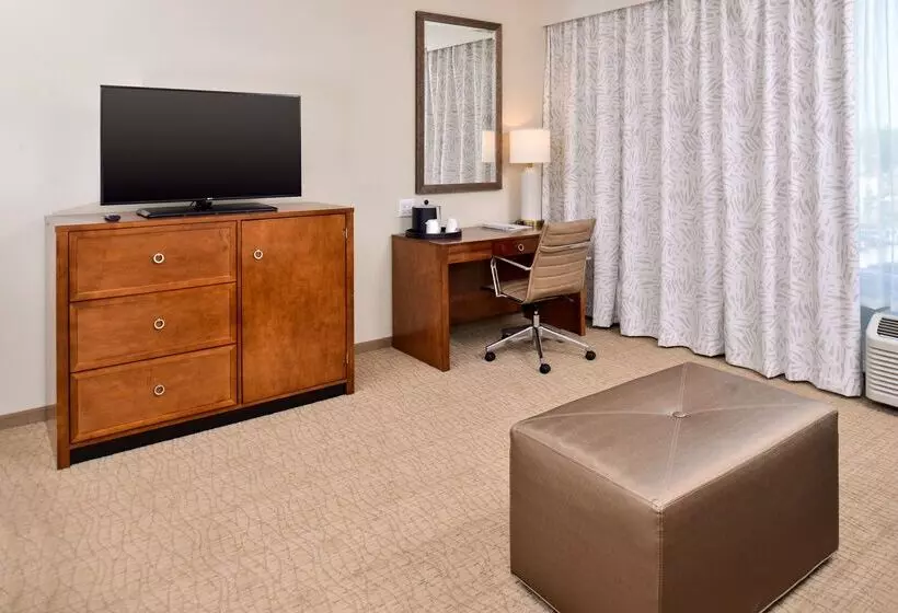 Hotel Hampton Inn & Suites Orlando/downtown South   Medical Center