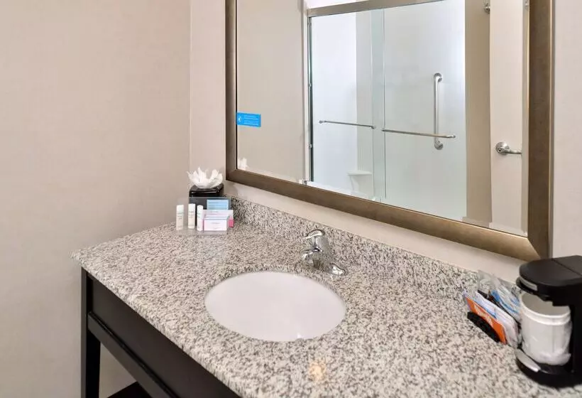 Hotel Hampton Inn & Suites Orlando/downtown South   Medical Center