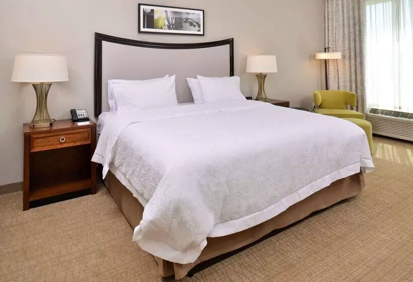 Hotel Hampton Inn & Suites Orlando/downtown South   Medical Center