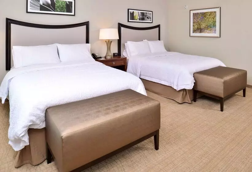 Hotel Hampton Inn & Suites Orlando/downtown South   Medical Center