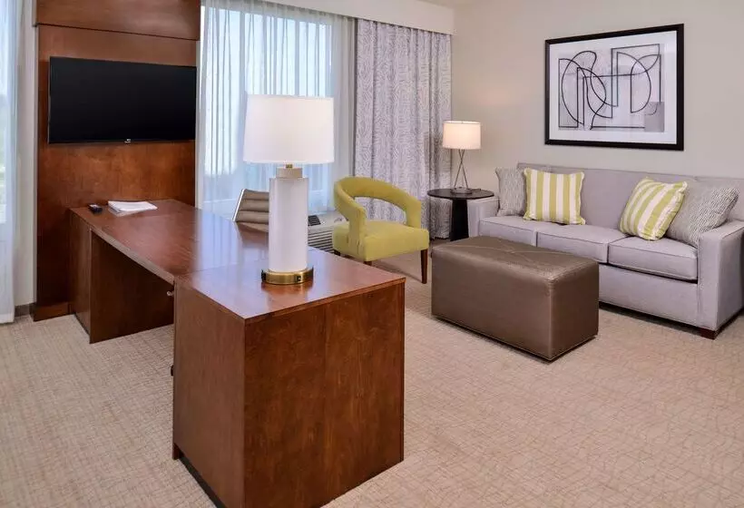 Hotel Hampton Inn & Suites Orlando/downtown South   Medical Center