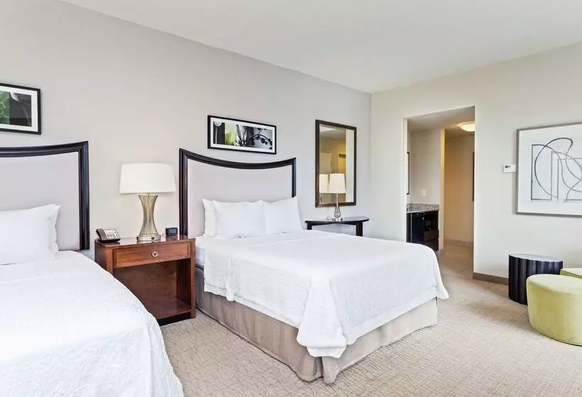 Hotel Hampton Inn & Suites Orlando/downtown South   Medical Center