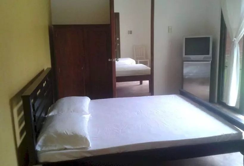 ホテル Panglao Palms Apartelle